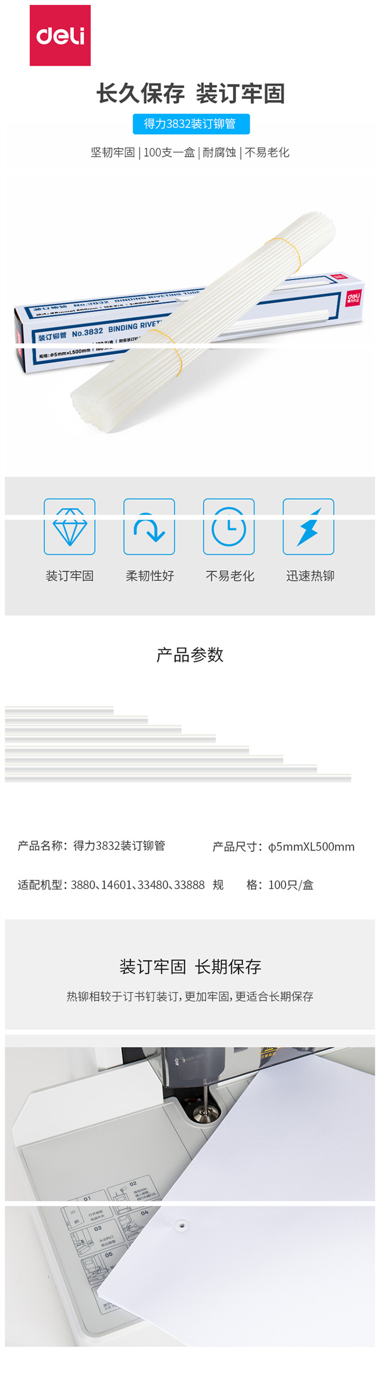 3832貓.jpg