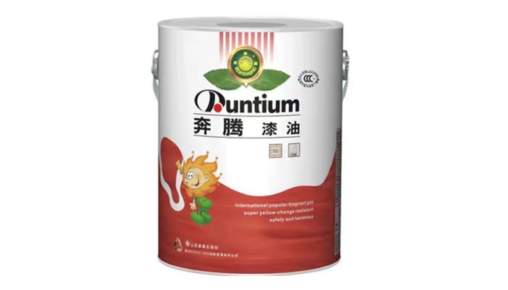 奔騰/POVOS W589 一次性用品  油漆2.5Kg