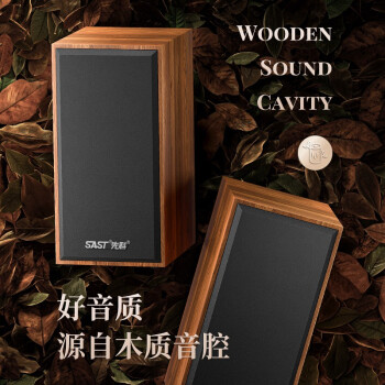 先科（SAST）音響電視組合機(jī)  S-10  電腦音響臺(tái)式2.0聲道桌面木質(zhì)藍(lán)牙迷你筆記本重低音喇叭外放 